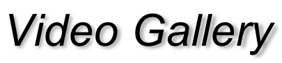 Video Gallery